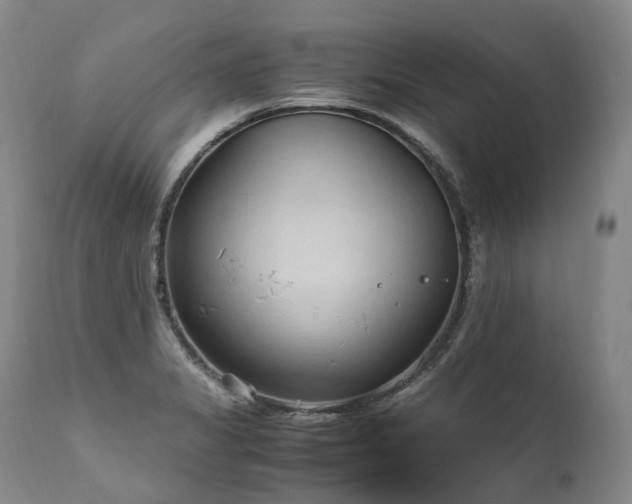 X0000111951325200907271427