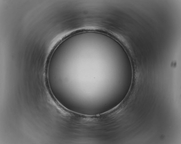 X0000111951327200907271427