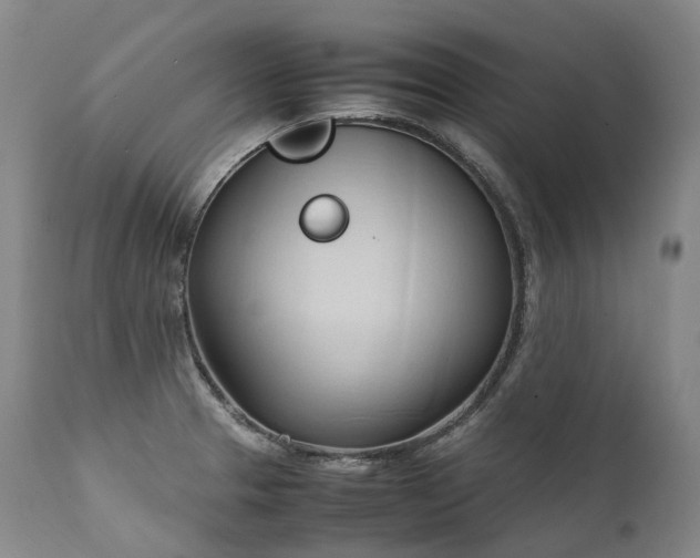 X0000111951329200907271427