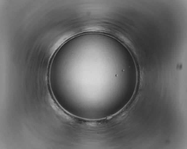 X0000111951330200907271427