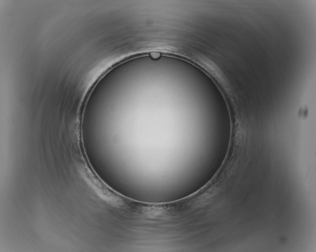 X0000111951332200907271428