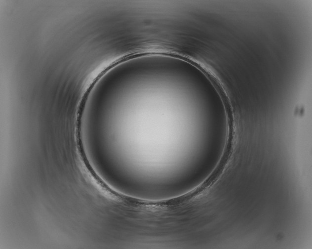 X0000111951333200907271428