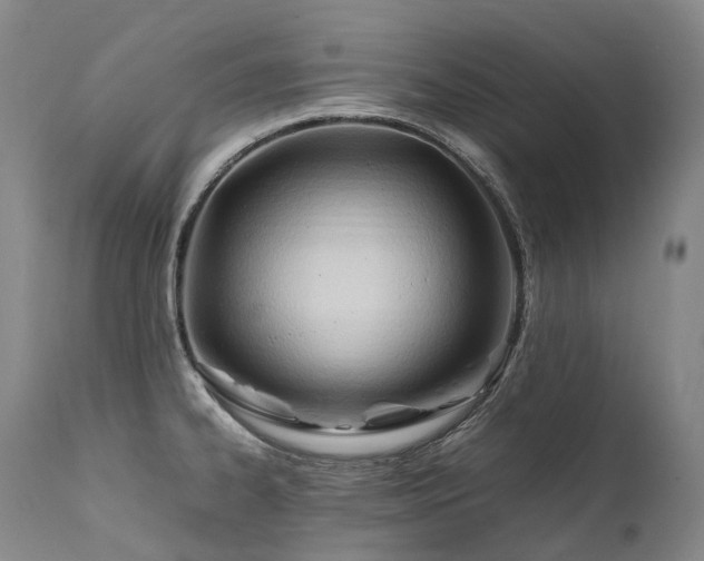 X0000111951334200907271428