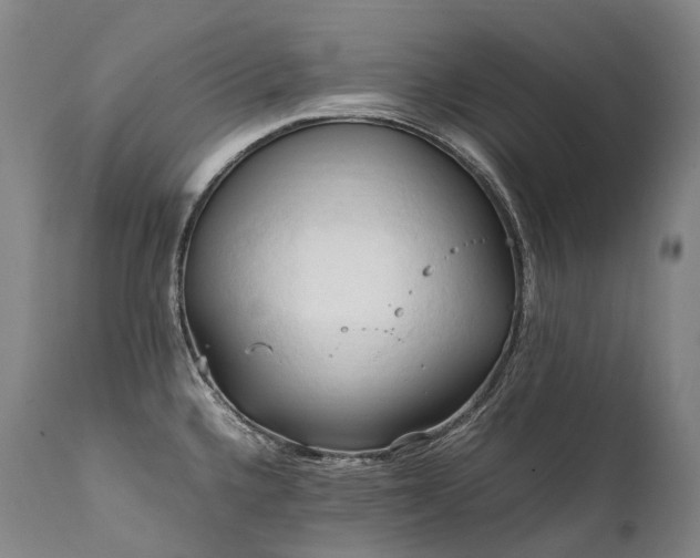 X0000111951336200907271428