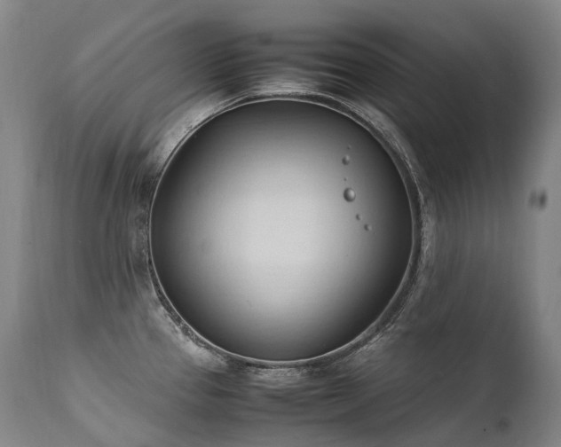 X0000111951337200907271428