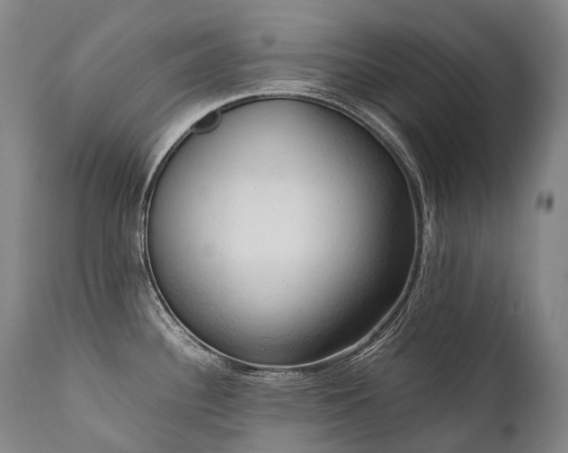 X0000111951340200907271428