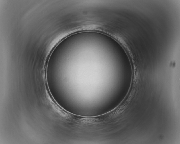 X0000111951342200907271428