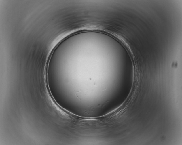 X0000111951343200907271428