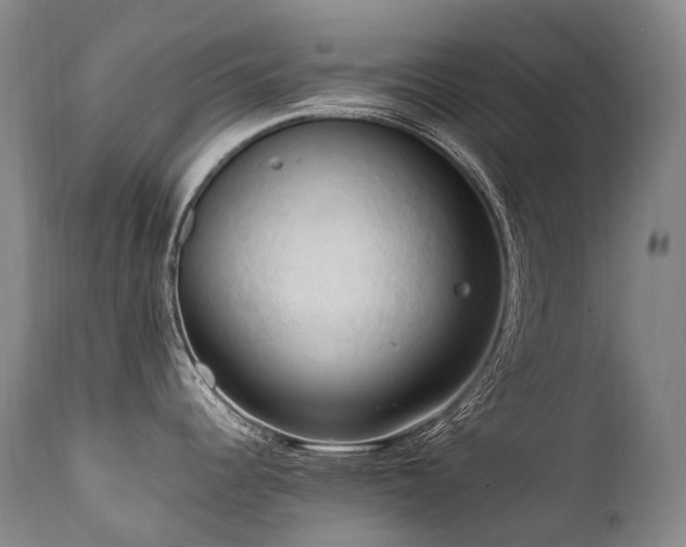 X0000111951344200907271428