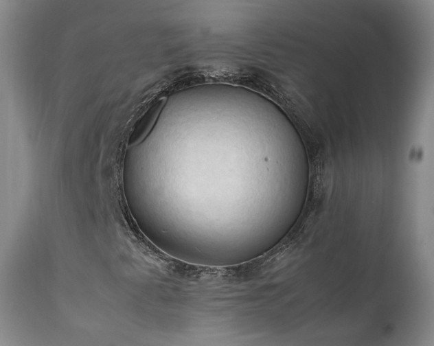 X0000111951345200907271427