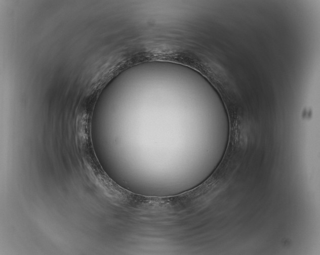 X0000111951346200907271427