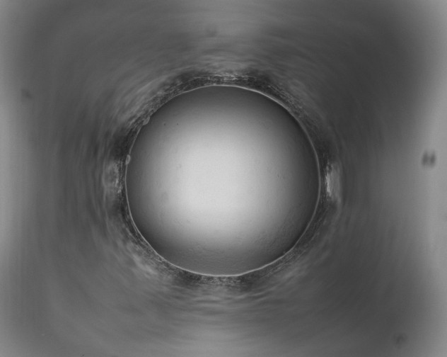 X0000111951347200907271427