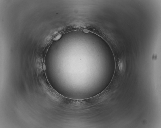 X0000111951348200907271427