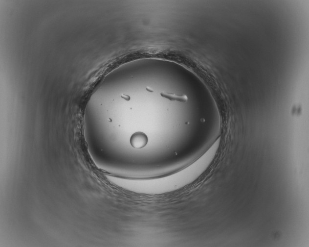 X0000111951349200907271427