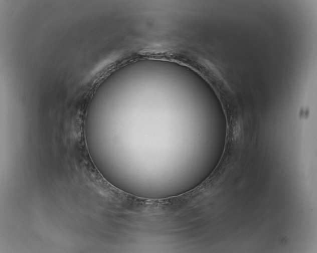 X0000111951350200907271427