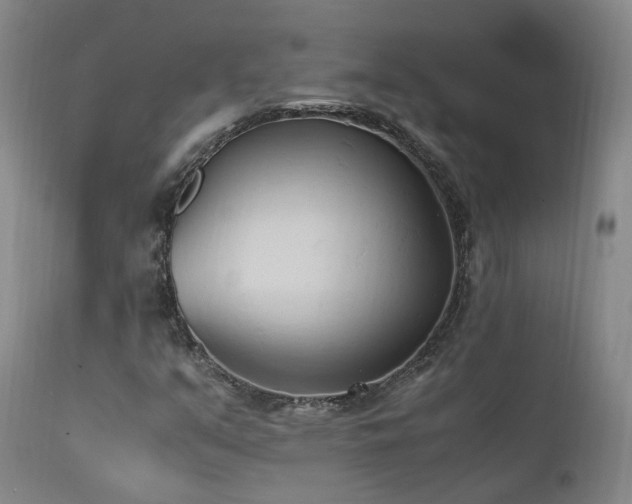 X0000111951351200907271427