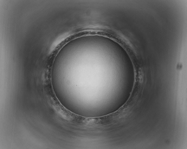 X0000111951352200907271427