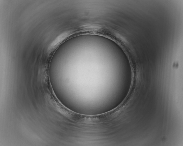 X0000111951354200907271427