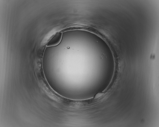 X0000111951355200907271427