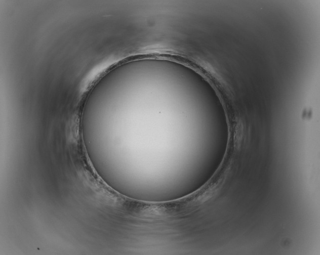 X0000111951358200907271427