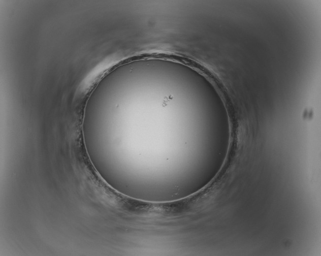 X0000111951359200907271427