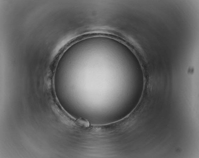 X0000111951360200907271427