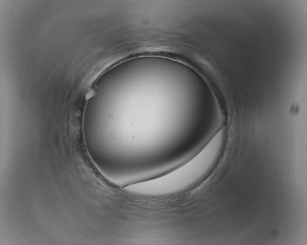 X0000111951361200907271427
