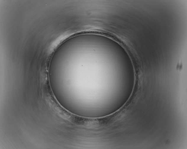 X0000111951363200907271427