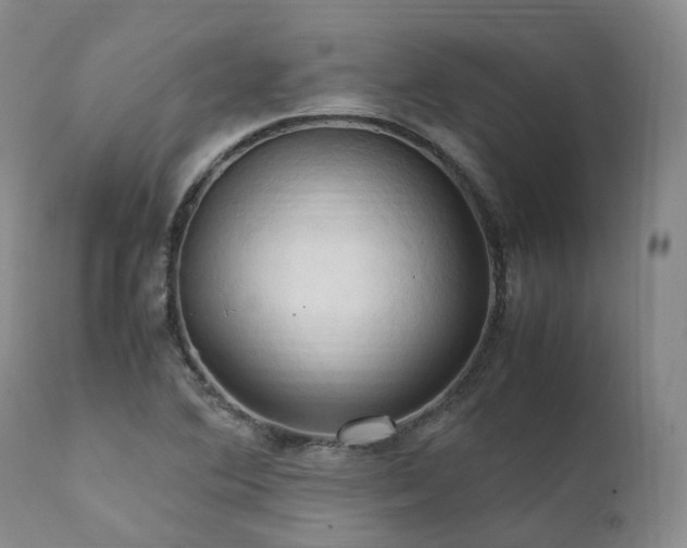 X0000111951364200907271427