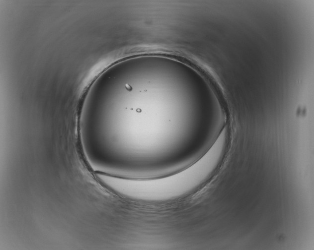 X0000111951365200907271427