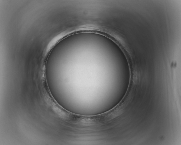 X0000111951366200907271427