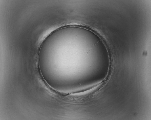 X0000111951367200907271427