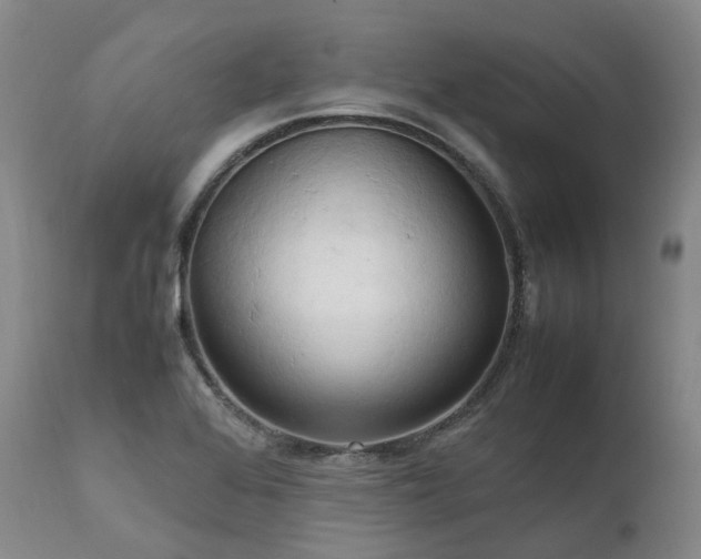 X0000111951368200907271427