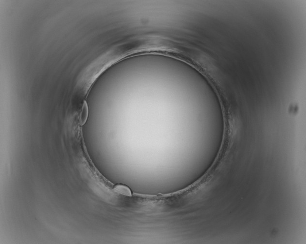 X0000111951369200907271427