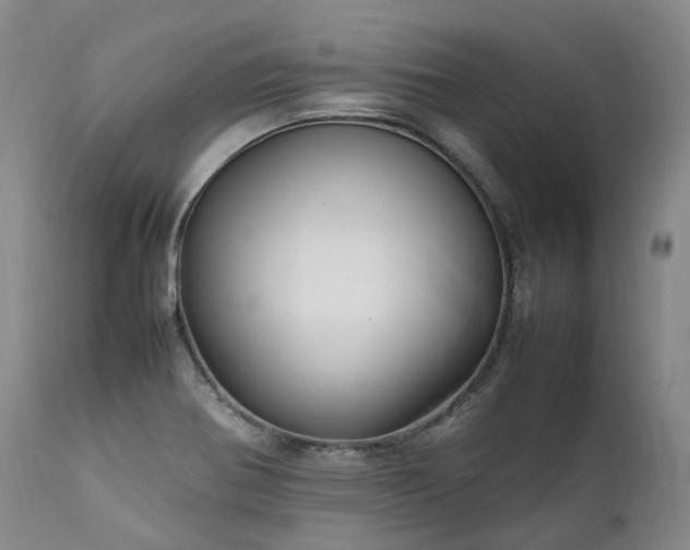 X0000111951370200907271426