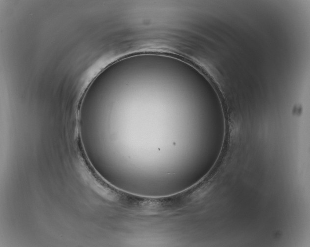 X0000111951371200907271426