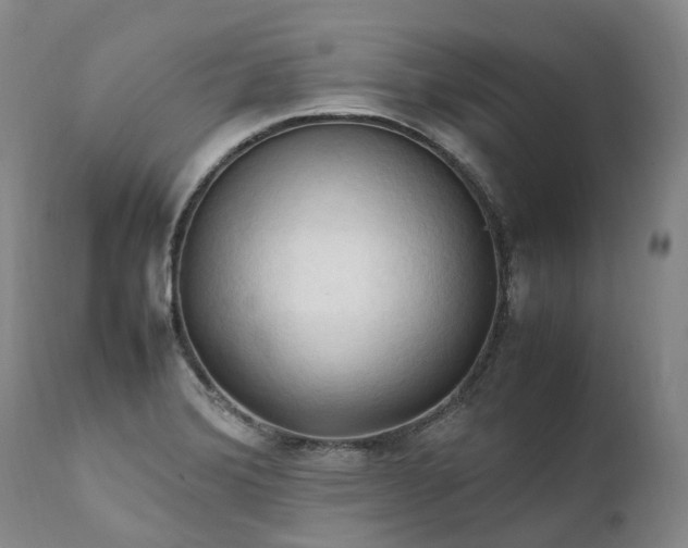 X0000111951372200907271426