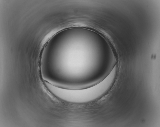 X0000111951373200907271426
