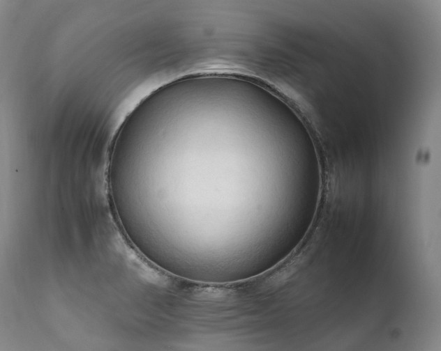 X0000111951374200907271426