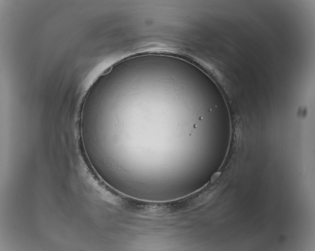 X0000111951375200907271426