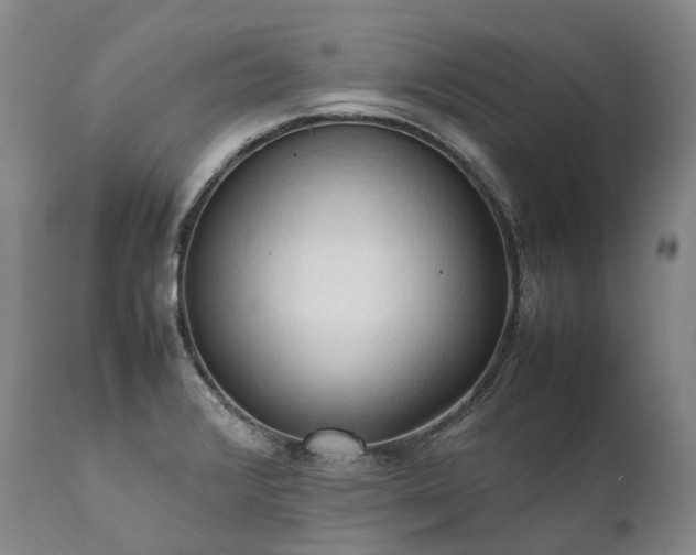 X0000111951376200907271426