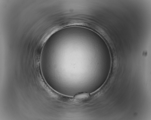 X0000111951377200907271426