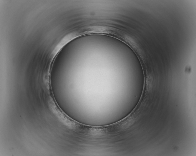X0000111951378200907271426