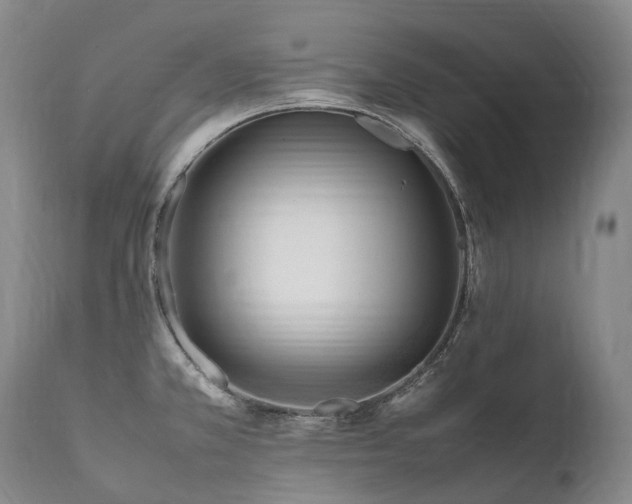 X0000111951381200907271426