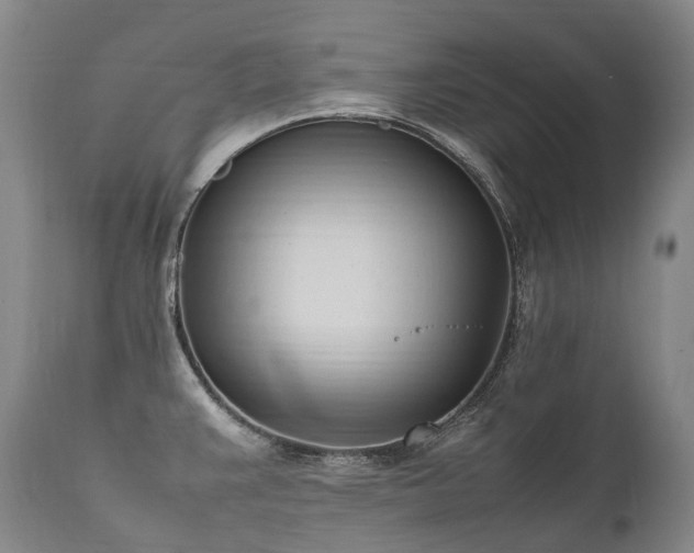 X0000111951383200907271426