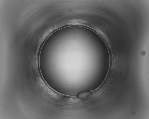X0000111951384200907271426