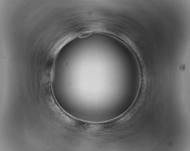 X0000111951385200907271426
