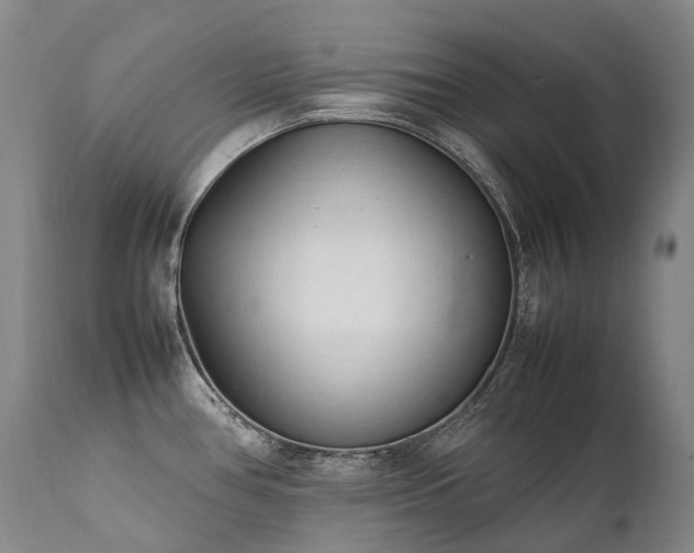X0000111951386200907271426
