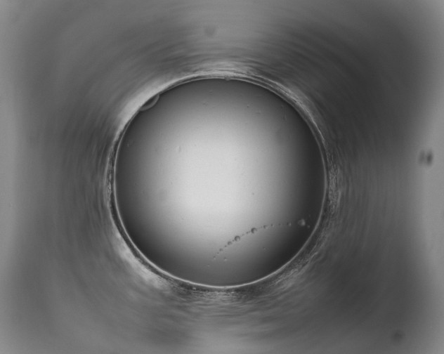 X0000111951387200907271426