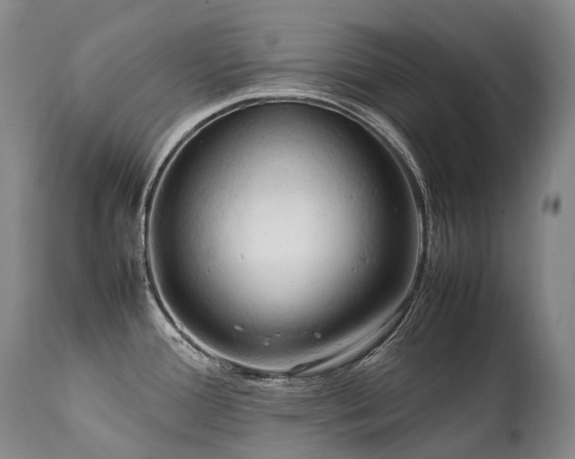 X0000111951388200907271426
